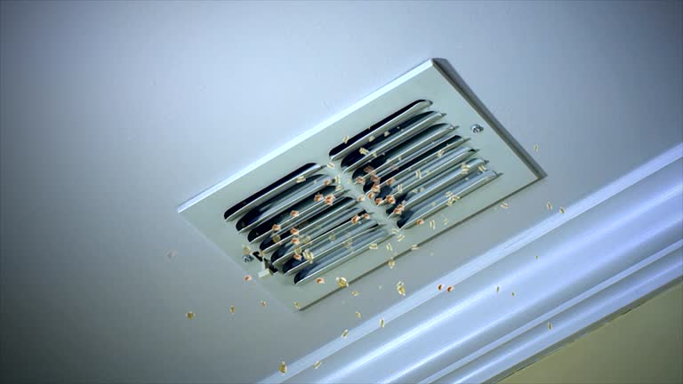 Best Best Air Duct Cleaning Company  in Plumsteadville, PA