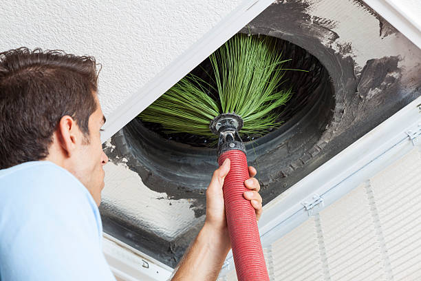 Best Air Duct Mold Removal  in Plumsteadville, PA